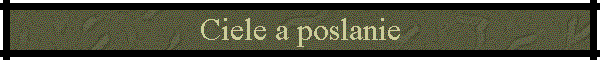 Ciele a poslanie