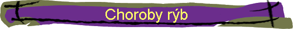 Choroby rb