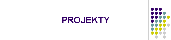 PROJEKTY