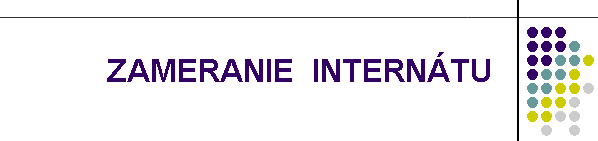 ZAMERANIE  INTERNTU